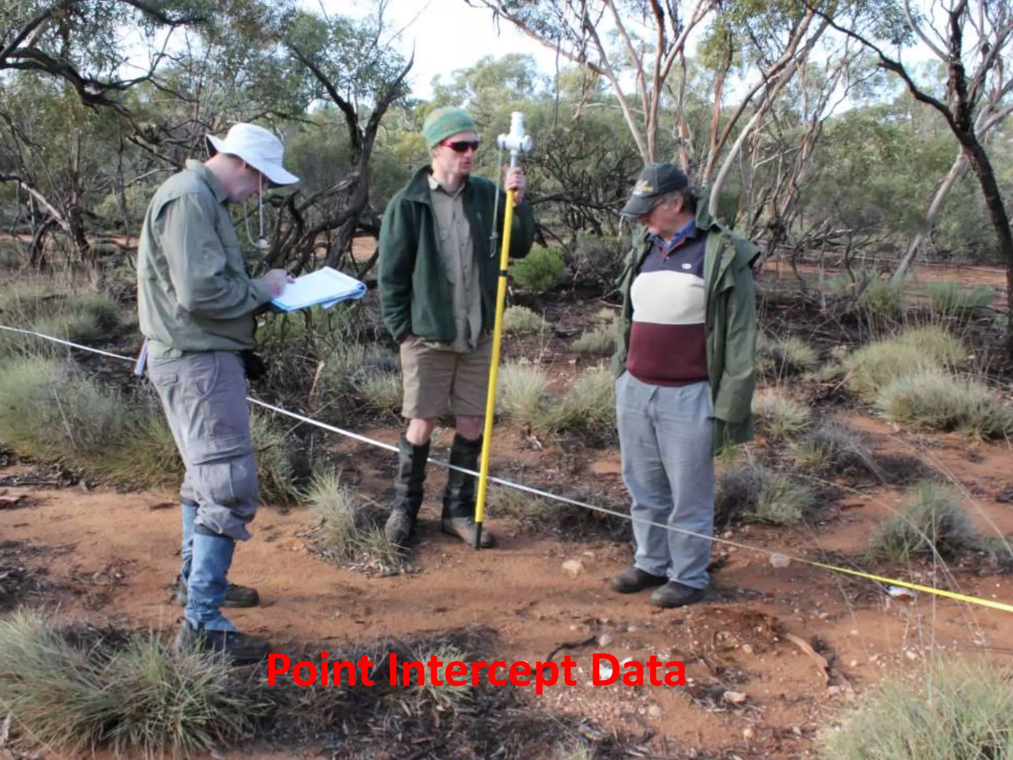 Point Intercept Data
 