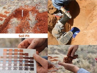 Soil Pit
 