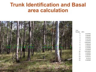 Trunk Identification and Basal
area calculation
11
1
 