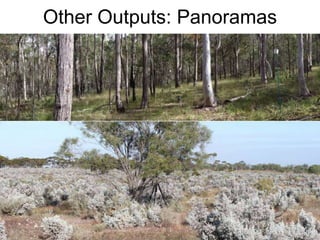 Other Outputs: Panoramas
11
3
 