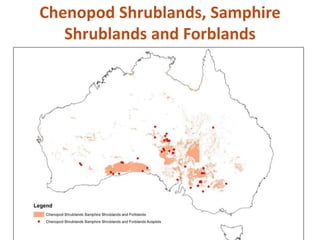 Chenopod Shrublands, Samphire
Shrublands and Forblands
 