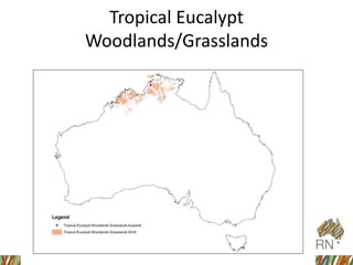 Tropical Eucalypt
Woodlands/Grasslands
 