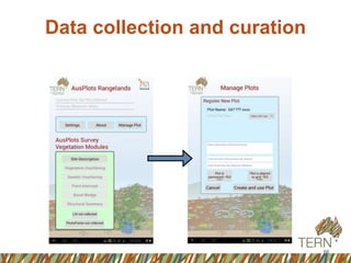 Data collection and curation
66
 