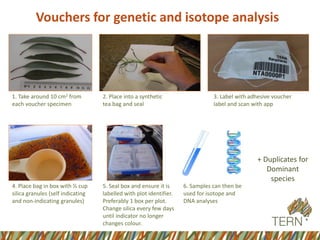 Vouchers for genetic and isotope analysis
1. Take around 10 cm2 from
each voucher specimen
2. Place into a synthetic
tea bag and seal
3. Label with adhesive voucher
label and scan with app
4. Place bag in box with ⅓ cup
silica granules (self indicating
and non-indicating granules)
5. Seal box and ensure it is
labelled with plot identifier.
Preferably 1 box per plot.
Change silica every few days
until indicator no longer
changes colour.
6. Samples can then be
used for isotope and
DNA analyses
+ Duplicates for
Dominant
species
 
