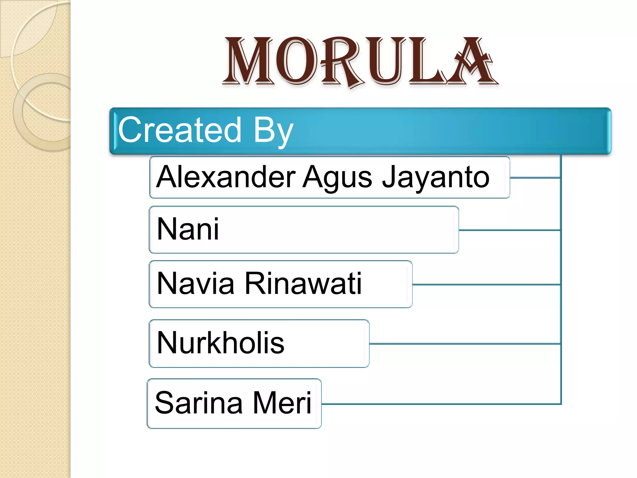 Morula
Created By
Alexander Agus Jayanto
Nani
Navia Rinawati
Nurkholis
Sarina Meri