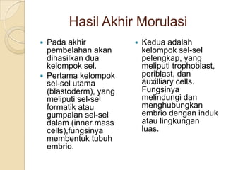 Hasil Akhir Morulasi
Pada akhir
pembelahan akan
dihasilkan dua
kelompok sel.
Pertama kelompok
sel-sel utama
(blastoderm), yang
meliputi sel-sel
formatik atau
gumpalan sel-sel
dalam (inner mass
cells),fungsinya
membentuk tubuh
embrio.
Kedua adalah
kelompok sel-sel
pelengkap, yang
meliputi trophoblast,
periblast, dan
auxilliary cells.
Fungsinya
melindungi dan
menghubungkan
embrio dengan induk
atau lingkungan
luas.