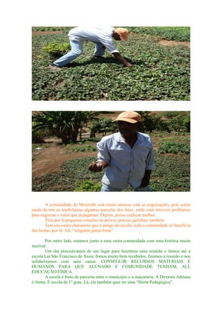 A comunidade do Morumbi está muito ansiosa com as negociações, pois como
ainda devem as imobiliárias algumas parcelas dos lotes, estão com terríveis problemas
para negociar o valor que já pagaram. Depois, posso explicar melhor.
Têm por lá pequenas criações de peixes, porcos, galinhas, também.
Tem um outro chacareiro que é amigo da escola; toda a comunidade se beneficia
das hortas, por lá. Ali, “ninguém passa fome”.
Por outro lado, estamos junto a uma outra comunidade com uma história muito
incrível.
Um dia precisávamos de um lugar para fazermos uma reunião e fomos até a
escola Lar São Francisco de Assis; fomos muito bem recebidos, fizemos a reunião e nos
solidarizamos com uma causa: CONSEGUIR RECURSOS MATERIAIS E
HUMANOS PARA QUE ALUNADO E COMUNIDADE TENHAM, ALÍ,
EDUCAÇÃO FÍSICA.
A escola é fruto de parceria entre o município e a maçonaria. A Diretora Adriana
é ótima. É escola de 1º grau. Lá, ela também quer ter uma “Horta Pedagógica”.
 