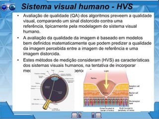 Sistema visual humano - HVS
• Avaliação de qualidade (QA) dos algoritmos preveem a qualidade
visual, comparando um sinal distorcido contra uma
referência, tipicamente pela modelagem do sistema visual
humano.
• A avaliação da qualidade da imagem é baseado em modelos
bem definidos matematicamente que podem predizer a qualidade
da imagem percebida entre a imagem de referência e uma
imagem distorcida.
• Estes métodos de medição consideram (HVS) as características
dos sistemas visuais humanos, na tentativa de incorporar
medidas de qualidade de percepção.
 