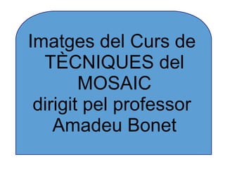 Imatges del Curs de
  TÈCNIQUES del
        MOSAIC
 dirigit pel professor
    Amadeu Bonet
 