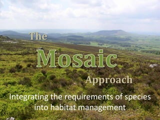 The

Approach
Integrating the requirements of species
into habitat management

 