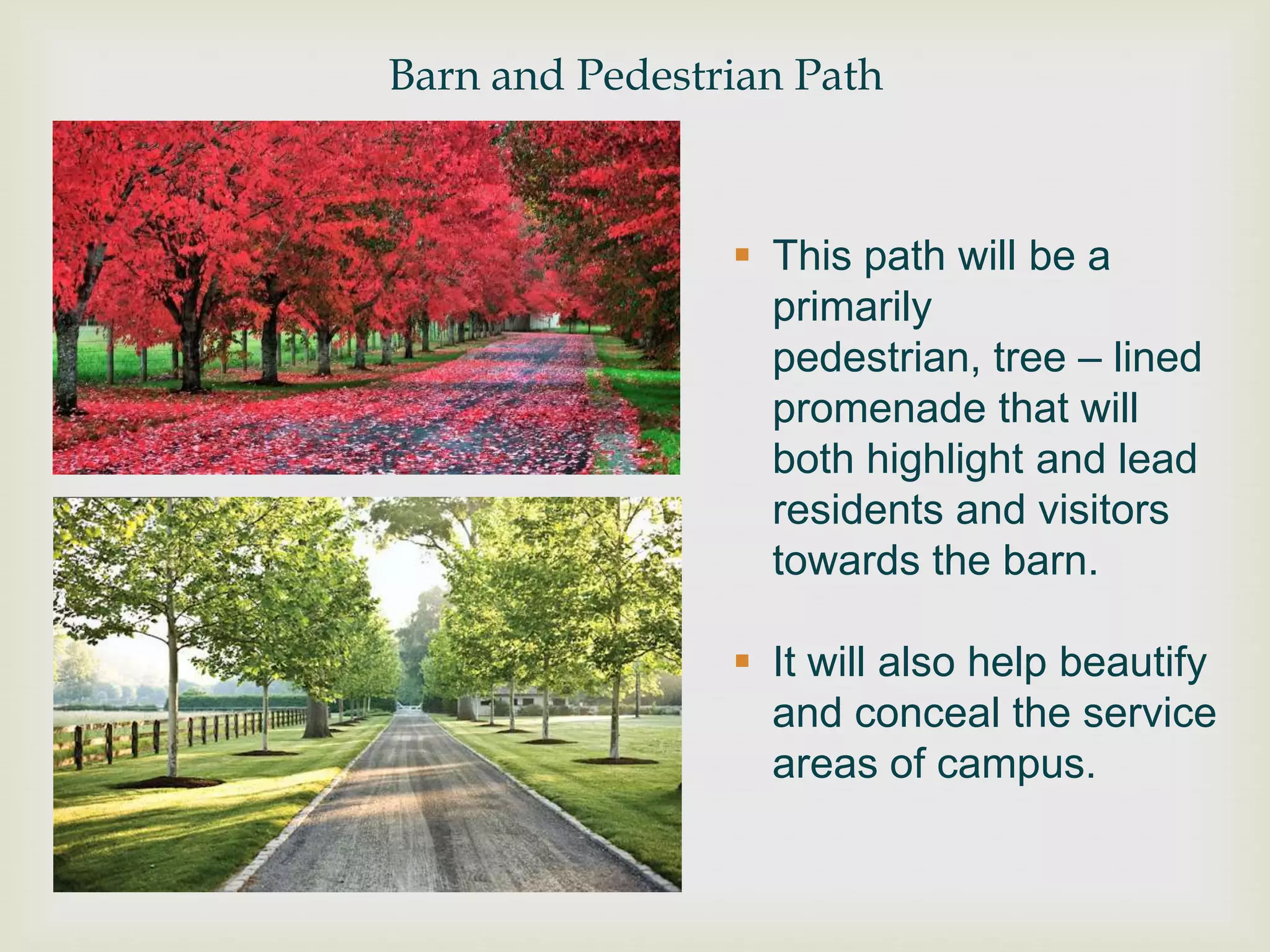 Barn and Pedestrian Path



                 This path will be a
                  primarily
                  pedestrian, tree – lined
                  promenade that will
                  both highlight and lead
                  residents and visitors
                  towards the barn.

                 It will also help beautify
                  and conceal the service
                  areas of campus.
 
