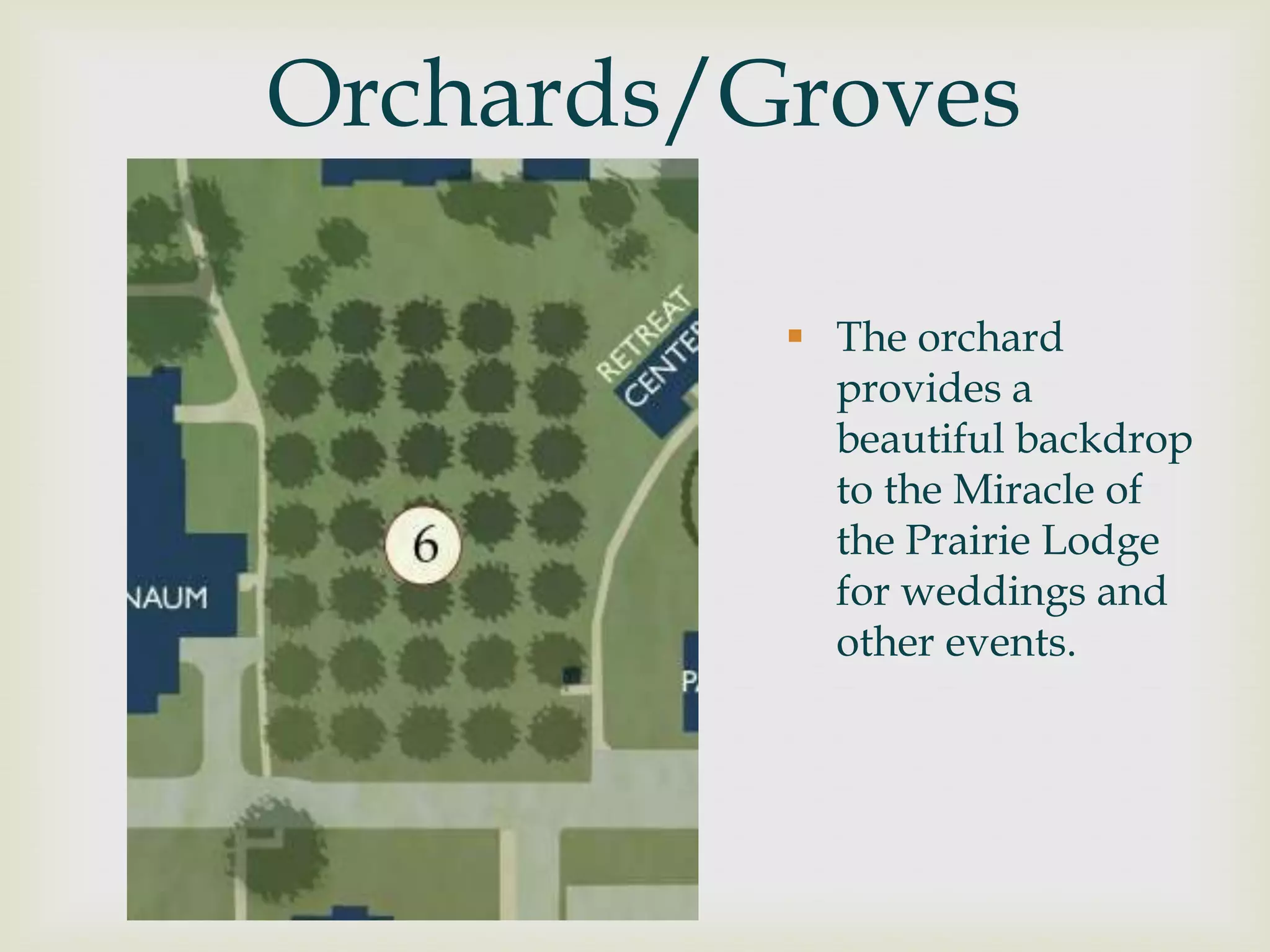 Orchards/Groves

           The orchard
            provides a
            beautiful backdrop
            to the Miracle of
            the Prairie Lodge
            for weddings and
            other events.
 