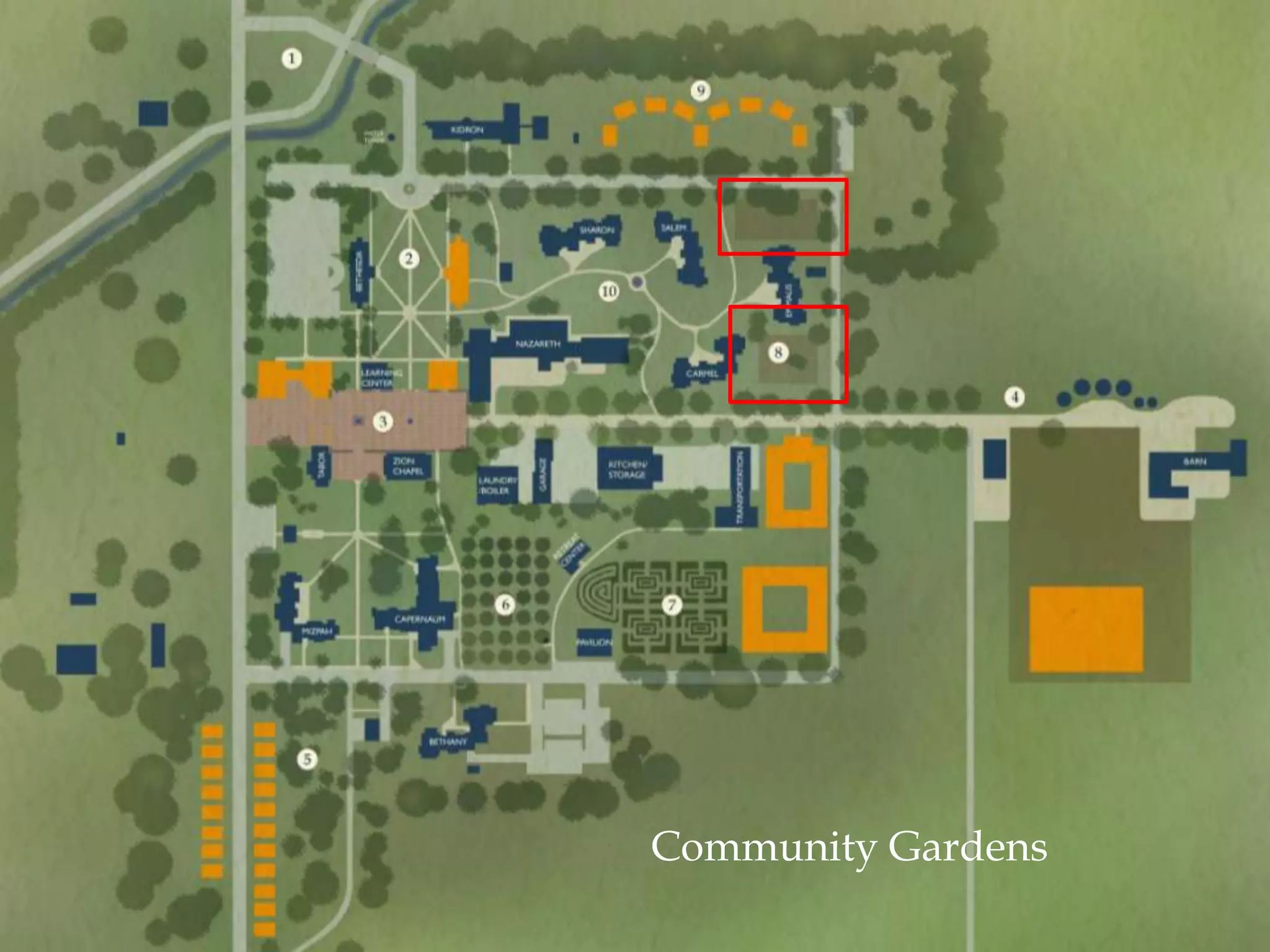 Community Gardens
 