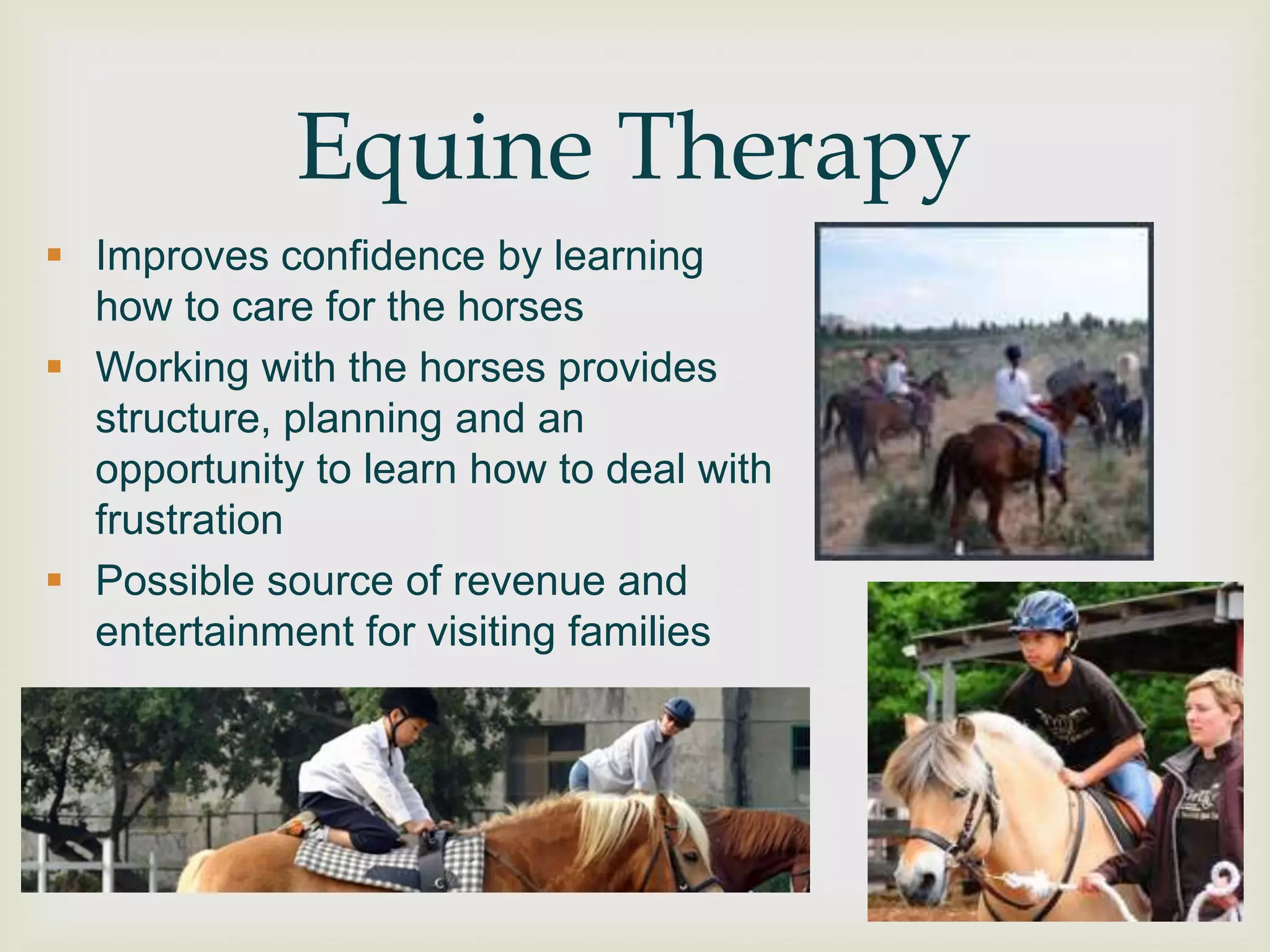 Equine Therapy
 Improves confidence by learning
  how to care for the horses
 Working with the horses provides
  structure, planning and an
  opportunity to learn how to deal with
  frustration
 Possible source of revenue and
  entertainment for visiting families
 