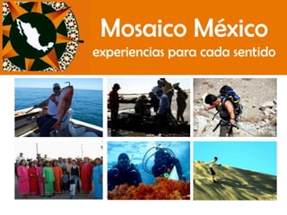 Mosaico Méxicoexperiencias para cada sentido 