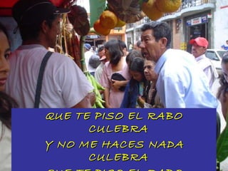 QUE TE PISO EL RABO CULEBRA Y NO ME HACES NADA CULEBRA QUE TE PISO EL RABO CULEBRA A LA MADRUGADA 