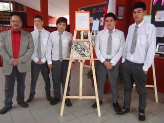 Mosaicos paula jaraquemada