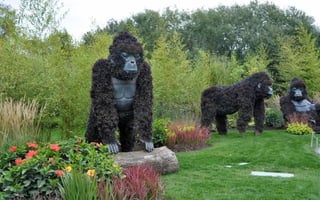 Mosaiculture de montral