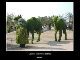 L'oasis, jardin des sables  Dubaï  
