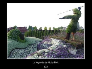 La légende de Moby Dick  USA 