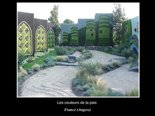 Les couleurs de la paix  France (Angers) 