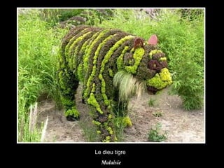 Le dieu tigre  Malaisie 