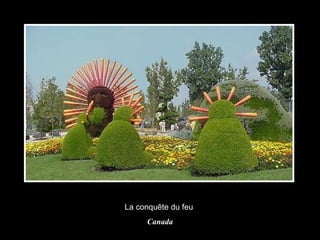 La conquête du feu  Canada 