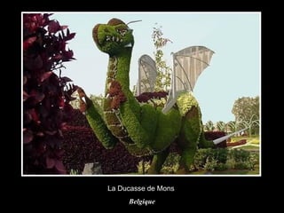 La Ducasse de Mons  Belgique 