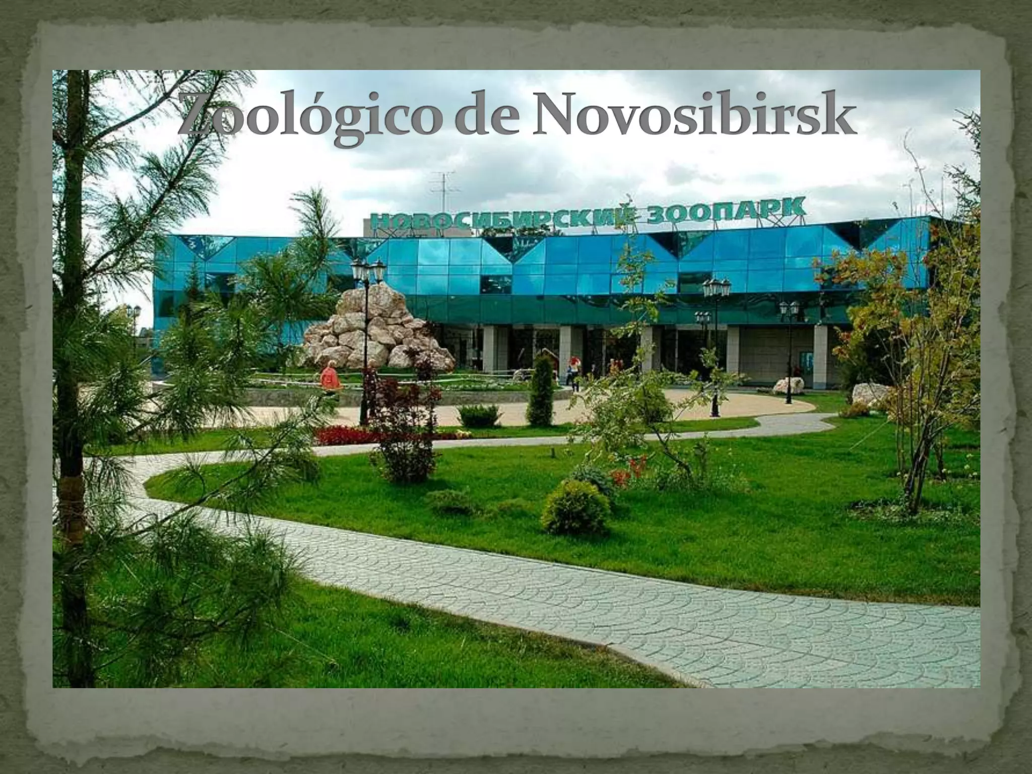 Zoológico de Novosibirsk