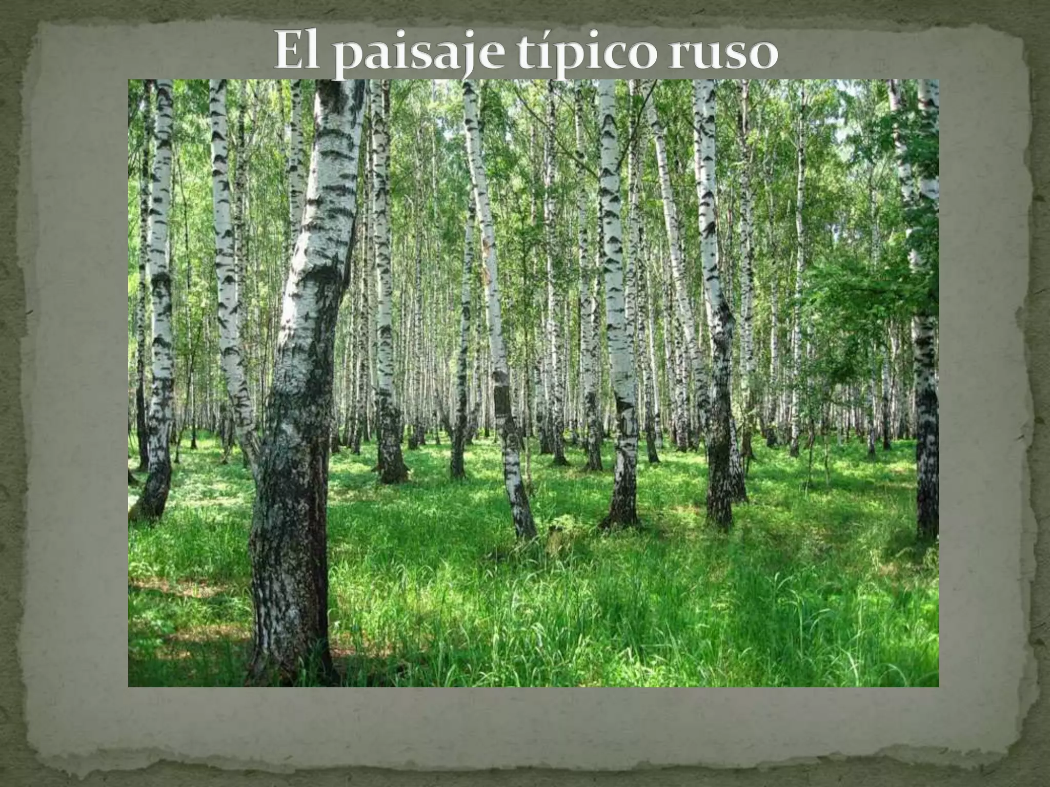 El paisaje típico ruso
