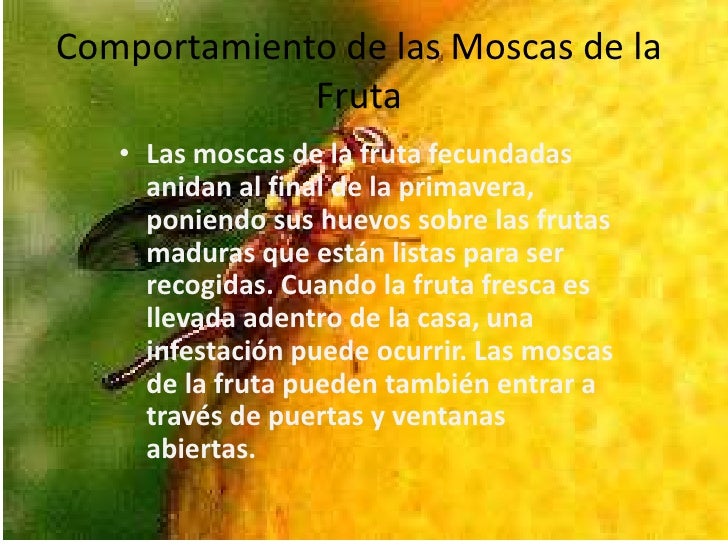 Furazolidon de las lamblias al niño las revocaciones