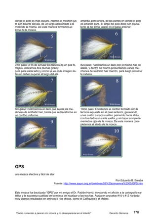 dónde el pelo es más oscuro. Atamos el mechón jus-      amarilla, pero ahora, de las partes en dónde el pelo
to por delante del ala, de un largo aproximado a la     es amarillo puro. El largo del pelo debe ser equiva-
mitad de la misma. De esta manera formamos el           lente al del lomo, atado en el paso anterior.
lomo de la mosca.




7mo paso: A fin de simular los flancos de un pez fo-    8vo paso: Fabricamos un lazo con el mismo hilo de
rrajero, utilizamos dos plumas grizzly                  atado, y dentro de mismo presentamos varios me-
(una para cada lado) y como se ve en la imagen és-      chones de sinthetic hair marrón, para luego construir
tas no deben superar el largo del ala.                  la cabeza.




9no paso: Retorcemos en lazo que sujeta los me-         10mo paso: Enrollamos el cordón formado con la
chones de sinthetic hair, hasta que se transforme en    técnica expuesta en el paso anterior, generando
un cordón uniforme.                                     unas cuatro o cinco vueltas, peinando hacia atrás
                                                        con los dedos en cada vuelta, y sin tapar completa-
                                                        mente los ojos de la mosca. De esta manera com-
                                                        pletamos el atado de la mosca.




GPS
una mosca efectiva y fácil de atar

                                                                                   Por Eduardo B. Bresba
                                 Fuente: http://www.aapm.org.ar/boletines/59%20primavera%2005/GPS.htm


Esta mosca fue bautizada “GPS” por mi amigo el Dr. Fabián Hamú, invocando mi afición a la cartografía sa-
telital y la supuesta cualidad de la mosca de localizar a las truchas. Atada en anzuelos #10 y #12 ha dado
muy buenos resultados en arroyos o ríos chicos, como el Calfiquitra o el Malleo.




“Como comenzar a pescar con mosca y no desesperarse en el intento”              Gerardo Herreros     178
 