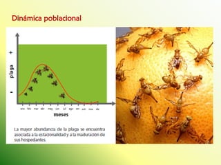 Dinámica poblacional  