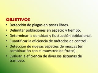 OBJETIVOS 
•Detección de plagas en zonas libres. 
•Delimitar poblaciones en espacio y tiempo. 
•Determinar la densidad y fluctuación poblacional. 
•Cuantificar la eficiencia de métodos de control. 
•Detección de nuevas especies de moscas (en combinación con el muestreo de frutos). 
•Evaluar la eficiencia de diversos sistemas de trampeo.  