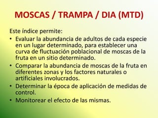 MOSCAS / TRAMPA / DIA (MTD) 
Este índice permite: 
•Evaluar la abundancia de adultos de cada especie en un lugar determinado, para establecer una curva de fluctuación poblacional de moscas de la fruta en un sitio determinado. 
•Comparar la abundancia de moscas de la fruta en diferentes zonas y los factores naturales o artificiales involucrados. 
•Determinar la época de aplicación de medidas de control. 
•Monitorear el efecto de las mismas.  