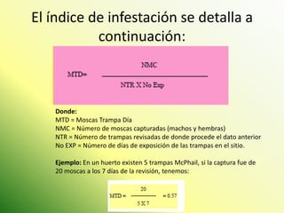 El índice de infestación se detalla a continuación: 
Donde: MTD = Moscas Trampa Día NMC = Número de moscas capturadas (machos y hembras) NTR = Número de trampas revisadas de donde procede el dato anterior No EXP = Número de días de exposición de las trampas en el sitio. Ejemplo: En un huerto existen 5 trampas McPhail, si la captura fue de 20 moscas a los 7 días de la revisión, tenemos:  