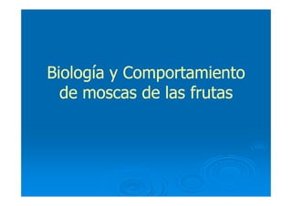 Biología y ComportamientoBiología y Comportamiento
de moscas de las frutasde moscas de las frutas
 