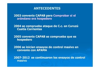 ANTECEDENTESANTECEDENTES
2003 convenio CAPAB para2003 convenio CAPAB para Comprobar si elComprobar si el
arándano era hospederoarándano era hospedero
2004 se comprueba ataque de C.c. en Curuzú2004 se comprueba ataque de C.c. en Curuzú
Cuatía CorrientesCuatía Corrientes
2005 convenio CAPAB se comprueba que es2005 convenio CAPAB se comprueba que es
hospederohospedero
2006 se inician ensayos de control masivo en2006 se inician ensayos de control masivo en
convenio con APAMAconvenio con APAMA
20072007--2012 se continuaron los ensayos de control2012 se continuaron los ensayos de control
masivomasivo
 