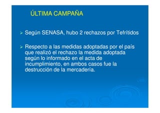 Según SENASA, hubo 2 rechazos por TefrítidosSegún SENASA, hubo 2 rechazos por Tefrítidos
Respecto a las medidas adoptadas por el paísRespecto a las medidas adoptadas por el país
que realizó el rechazo la medida adoptadaque realizó el rechazo la medida adoptada
según lo informado en el acta desegún lo informado en el acta de
incumplimiento, en ambos casos fue laincumplimiento, en ambos casos fue la
destrucción de la mercadería.destrucción de la mercadería.
ÚLTIMA CAMPAÑA
 