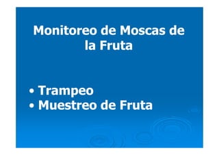 Monitoreo de Moscas deMonitoreo de Moscas de
la Frutala Fruta
•• TrampeoTrampeo
•• Muestreo de FrutaMuestreo de Fruta
 