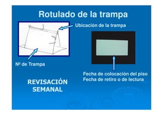 Ubicación de la trampa
Nº de Trampa
Rotulado de la trampaRotulado de la trampa
Fecha de colocación del piso
Fecha de retiro o de lectura
REVISACIÓNREVISACIÓN
SEMANALSEMANAL
 