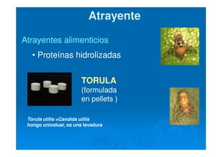 Atrayentes alimenticiosAtrayentes alimenticios
• Proteínas hidrolizadas
TORULA
(formulada
en pellets )
AtrayenteAtrayente
Torula utilis =Candida utilis
hongo uniceluar, es una levadura
 