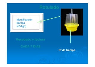 Identificación
trampa
(código)
Nº de trampa
Rotulado
Recebado y lectura
CADA 7 DÍAS
 