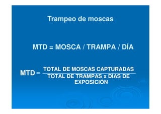 MTD = MOSCA / TRAMPA / DÍAMTD = MOSCA / TRAMPA / DÍA
TOTAL DE MOSCAS CAPTURADASTOTAL DE MOSCAS CAPTURADAS
TOTAL DE TRAMPAS x DÍAS DETOTAL DE TRAMPAS x DÍAS DE
EXPOSICIÓNEXPOSICIÓN
MTDMTD ==
Trampeo de moscasTrampeo de moscas
 