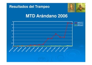 0
0.5
1
1.5
2
2.5
3
3.5
4
06/09/200613/09/200620/09/200627/09/200604/10/200611/10/200618/10/200625/10/200601/11/200608/11/200615/11/200622/11/200629/11/200606/12/2006
MTD Cc
MTD Af
MTD Arándano 2006MTD Arándano 2006
Resultados del TrampeoResultados del Trampeo
 