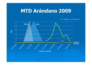O’Neal Misty
Umbral
de daño
0
1
2
3
4
5
MTD
Fecha de recuento
C. capitata A. fraterculus
MTD Arándano 2009MTD Arándano 2009
 