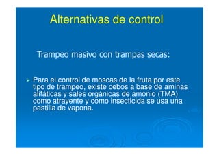Alternativas de controlAlternativas de control
Para el control de moscas de la fruta por estePara el control de moscas de la fruta por este
tipo de trampeo, existe cebos a base de aminastipo de trampeo, existe cebos a base de aminas
alifáticas y sales orgánicas de amonio (TMA)alifáticas y sales orgánicas de amonio (TMA)
como atrayente y como insecticida se usa unacomo atrayente y como insecticida se usa una
pastilla de vapona.pastilla de vapona.
Trampeo masivo con trampas secas:Trampeo masivo con trampas secas:
 