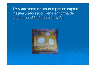 TMA atrayente de las trampas de capturaTMA atrayente de las trampas de captura
masiva ,cebo seco, viene en forma demasiva ,cebo seco, viene en forma de
tarjetas, de 90 días de duración.tarjetas, de 90 días de duración.
 