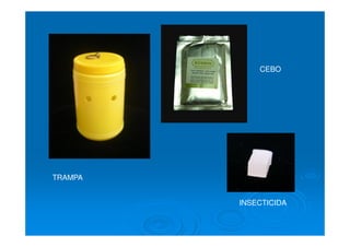 TRAMPA
CEBO
INSECTICIDA
 