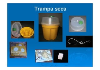 Trampa secaTrampa seca
 